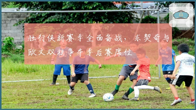 独行侠新赛季全面备战,东契奇与欧文双核争夺季后赛席位